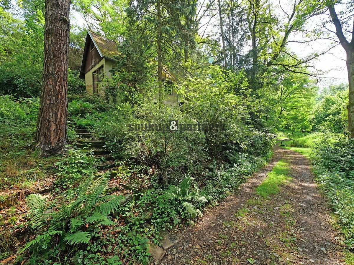 Prodej chaty 53 m², pozemek 193 m² – fotografie 3