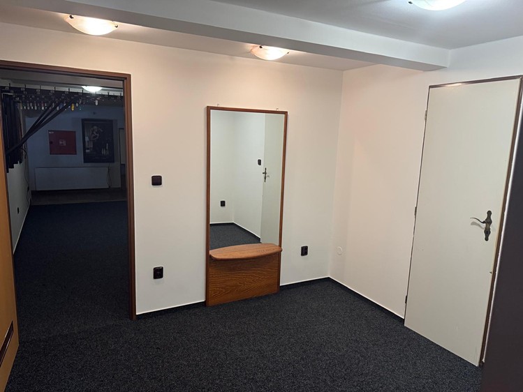 Pronájem komerčního prostoru, 500 m² (14 z 27)