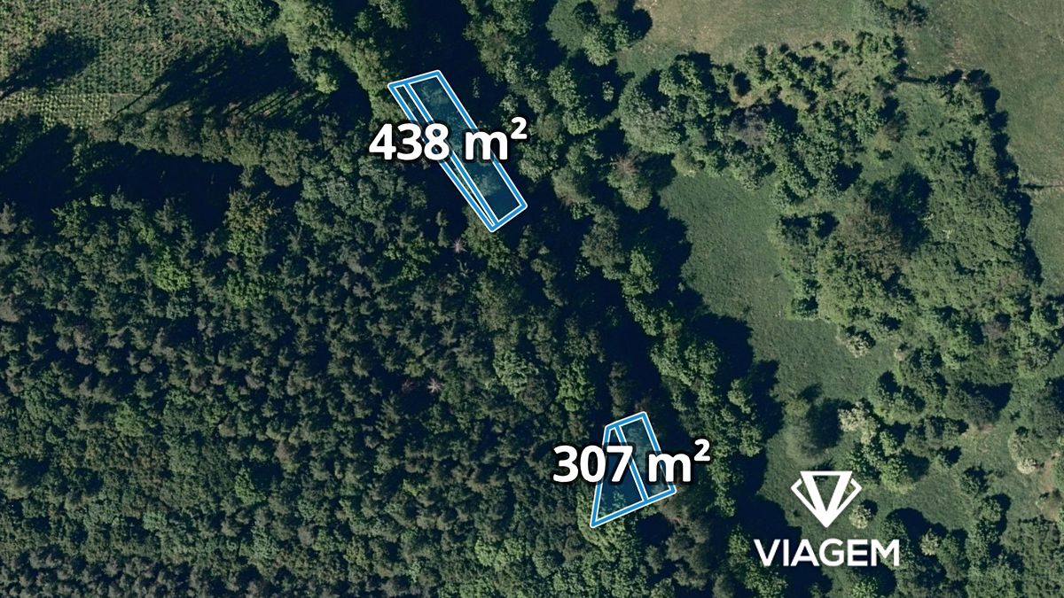 Prodej lesa 2135 m²