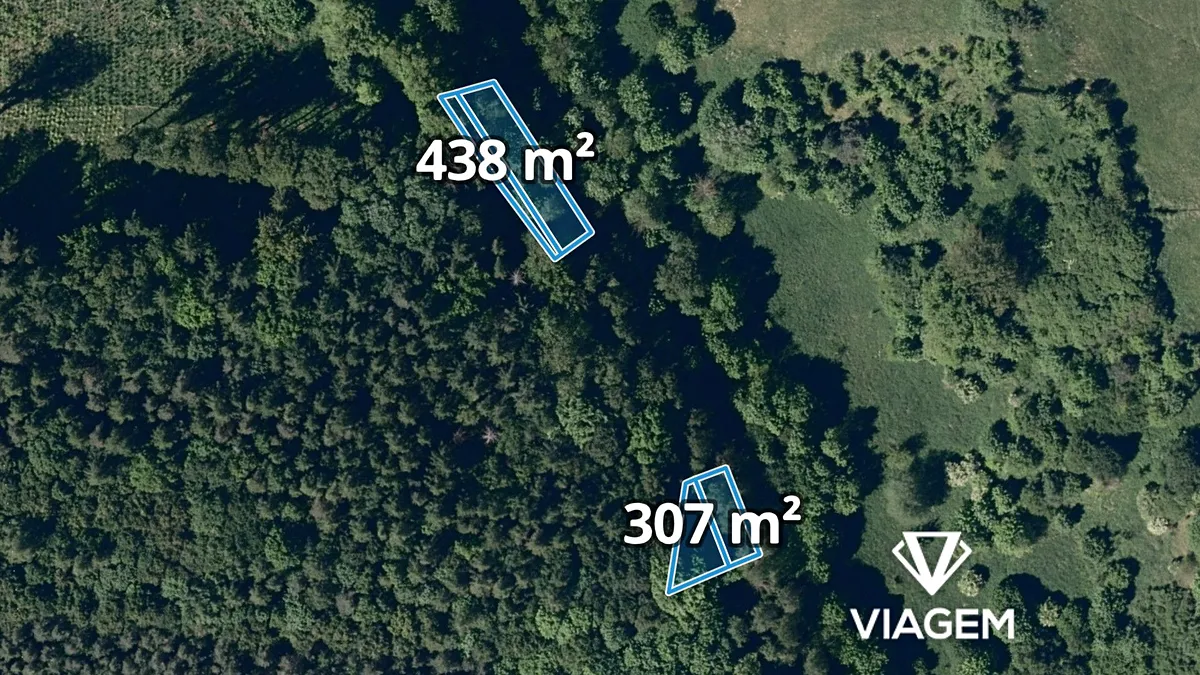 Prodej lesa 2135 m²