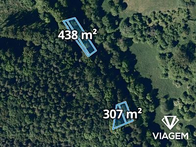 Prodej lesa 2135 m²
