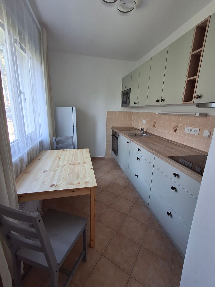 Pronájem bytu 1+1 36 m²