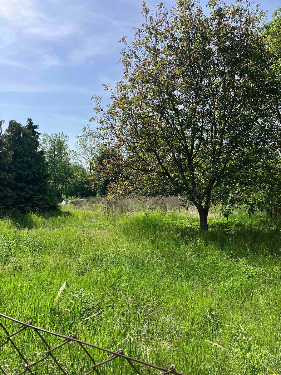 Prodej zahrady 3461 m² – fotografie 2