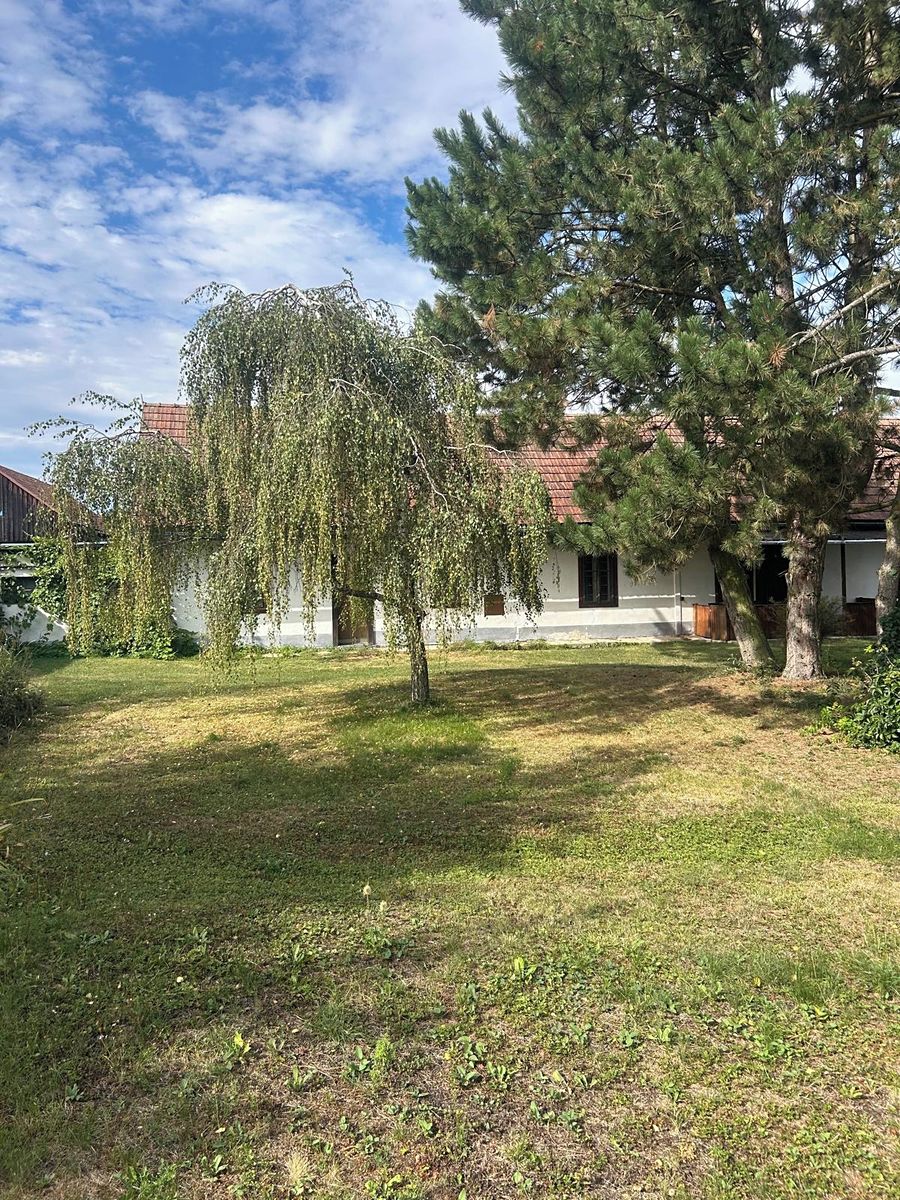 Prodej chalupy 100 m², pozemek 1885 m² – fotografie 5