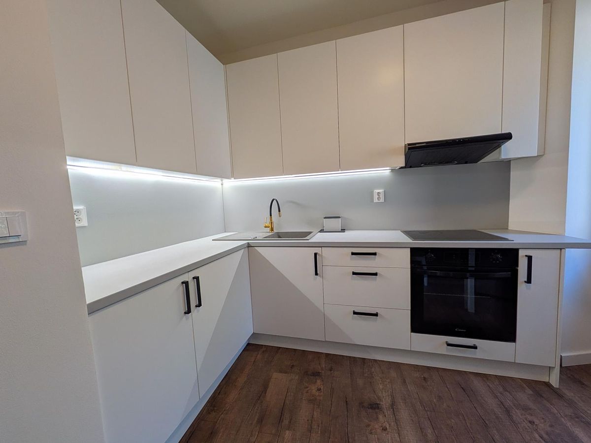Pronájem bytu 2+1 48 m²