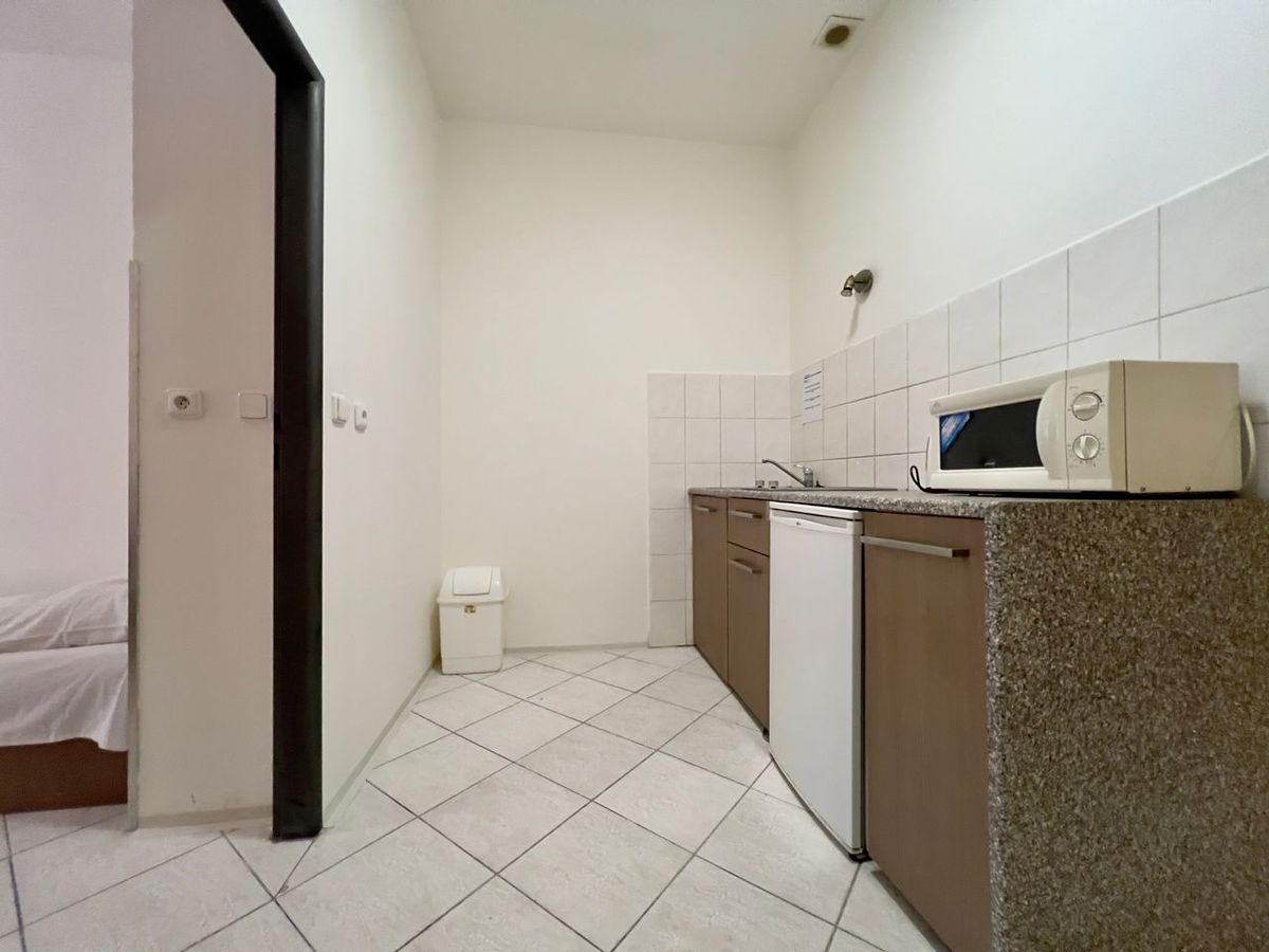 Pronájem bytu 1+1 45 m² – fotografie 4