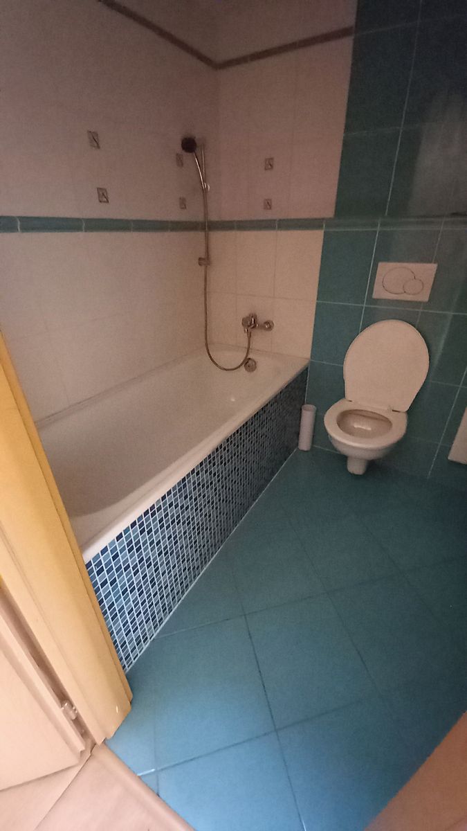 Pronájem bytu 1+kk 47 m² – fotografie 4
