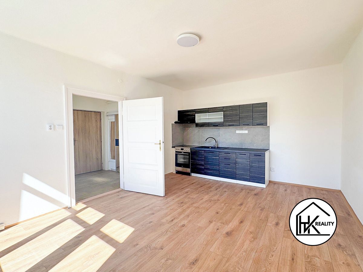 Pronájem bytu 1+1 49 m² – fotografie 3