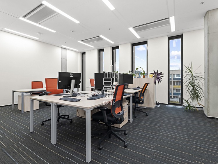 Pronájem komerčního prostoru, 844 m² (5 z 22)