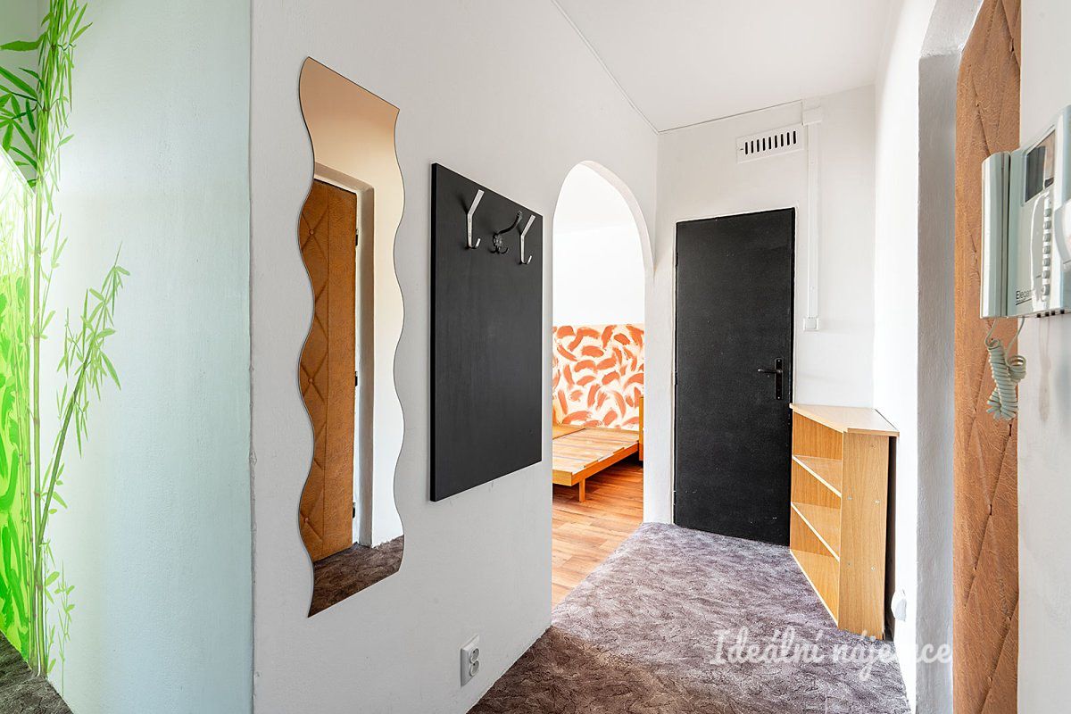 Pronájem bytu 1+1 47 m² – fotografie 5