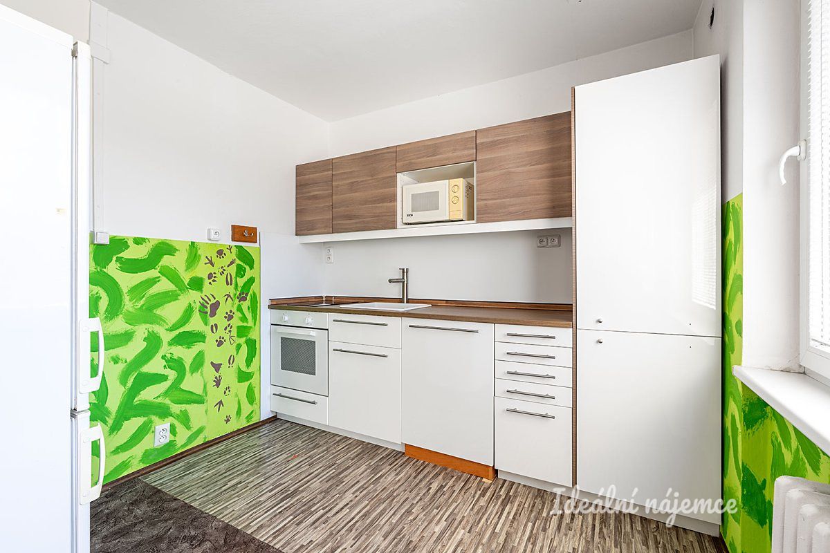 Pronájem bytu 1+1 47 m² – fotografie 2