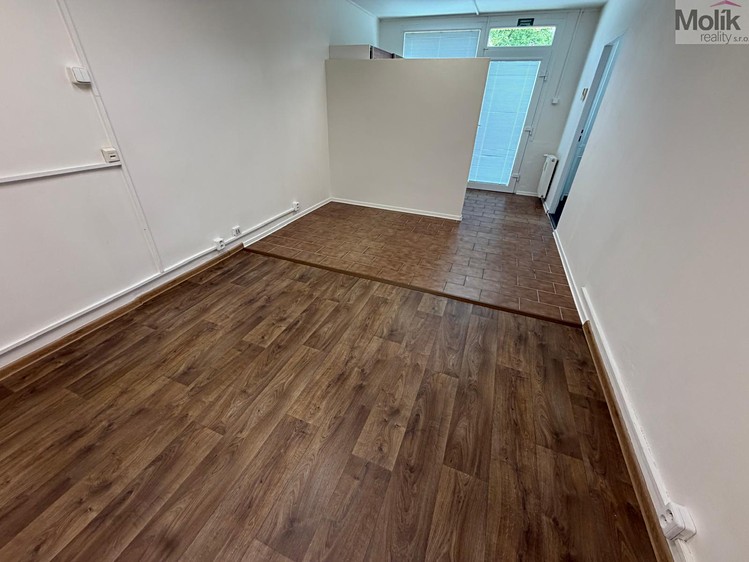 Prodej komerčního prostoru, 55 m² (1 z 14)