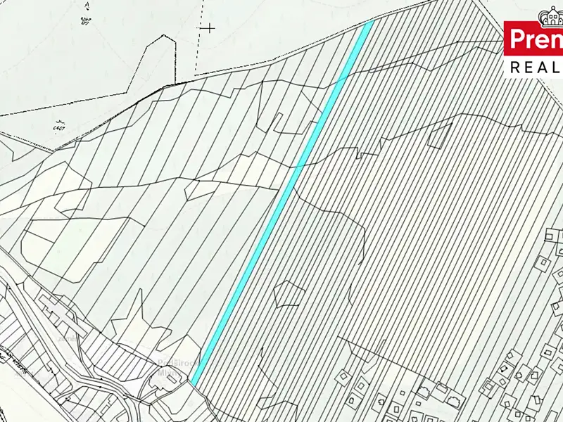 Prodej pozemku 9685 m², Nová Lhota – náhled fotky 2