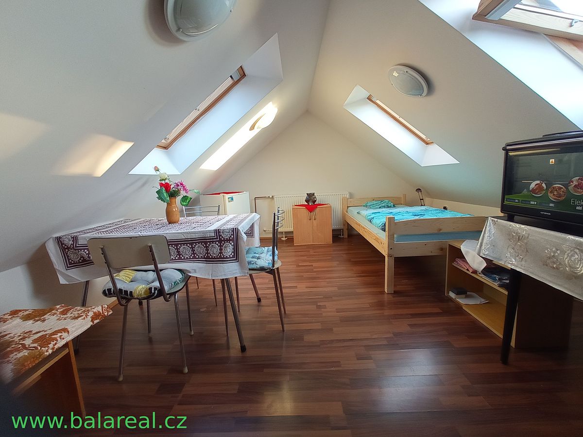 Pronájem bytu 1+kk 20 m²