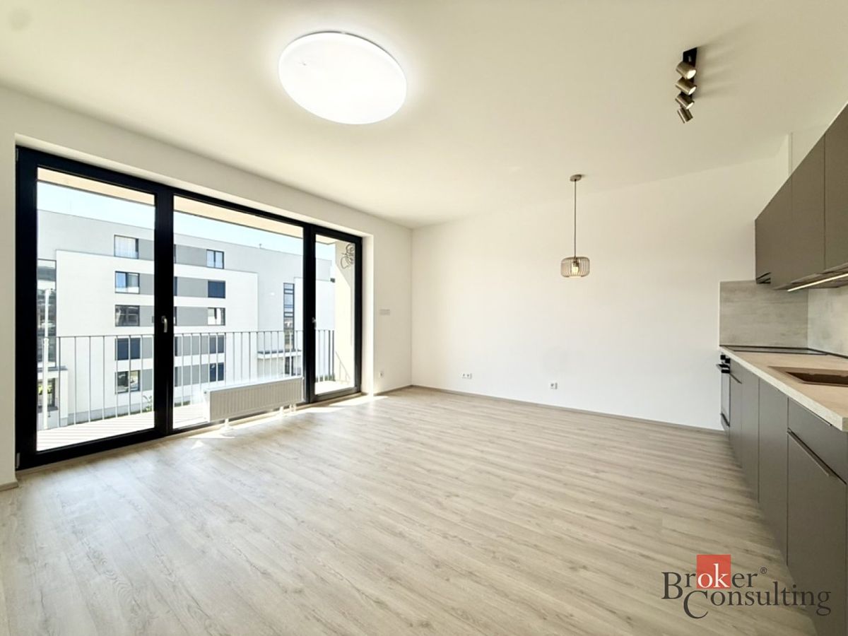 Pronájem bytu 1+kk 42 m²