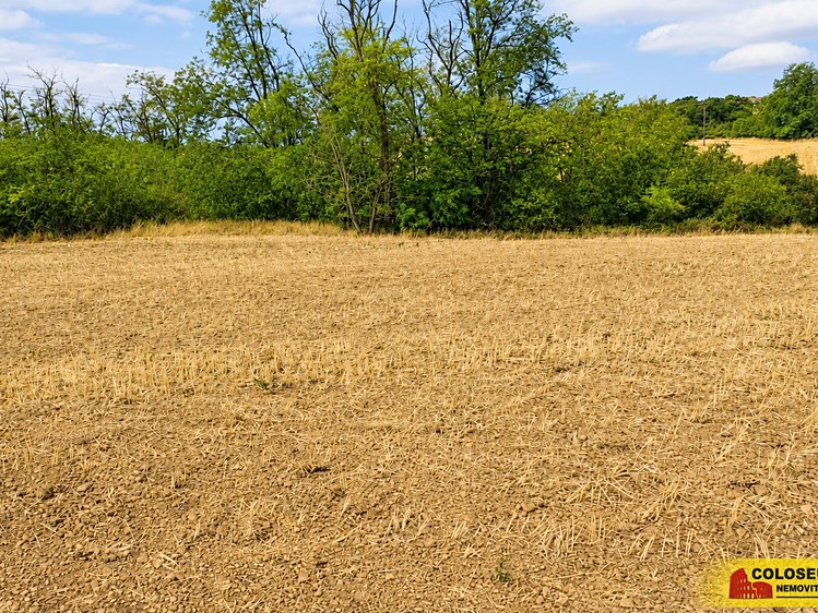 Ostatní
