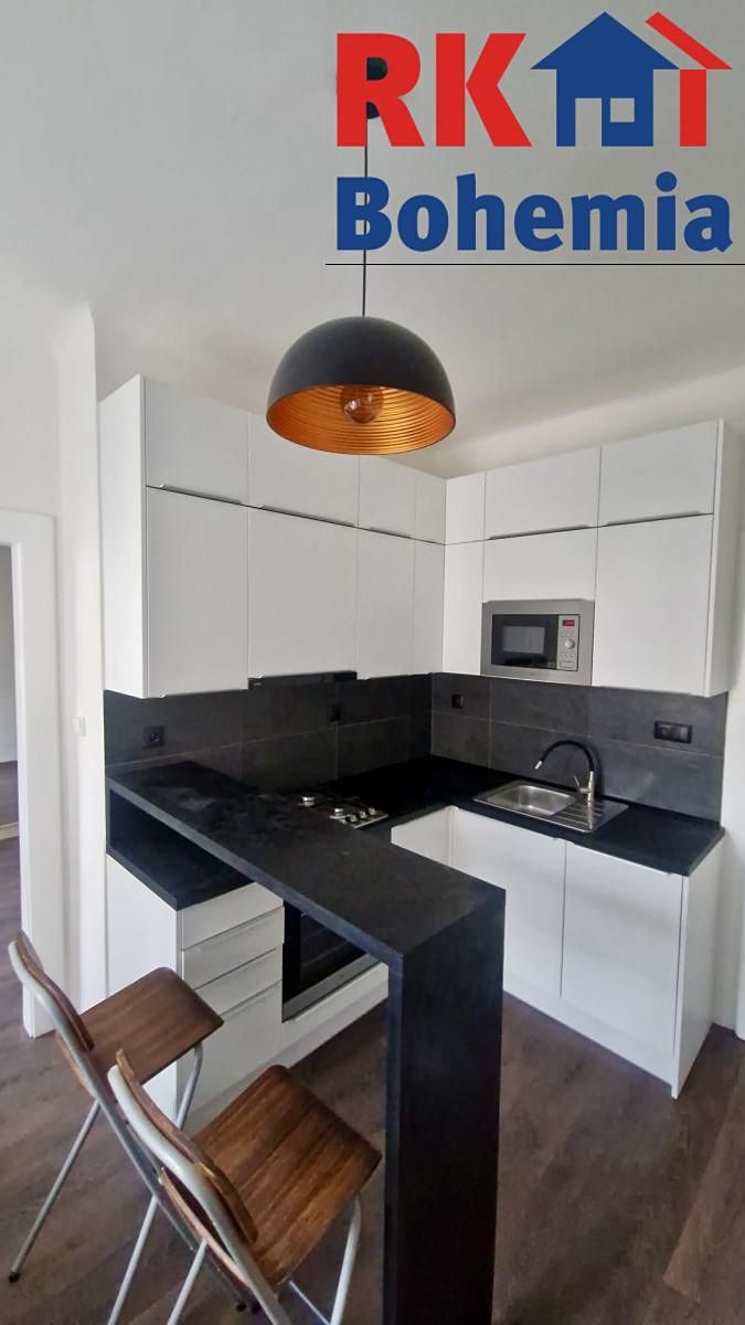 Pronájem bytu 1+1 42 m²