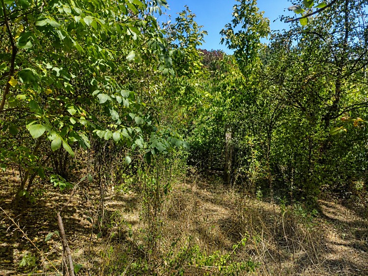 Ділянка на продаж, 888 м² (10 з 13)
