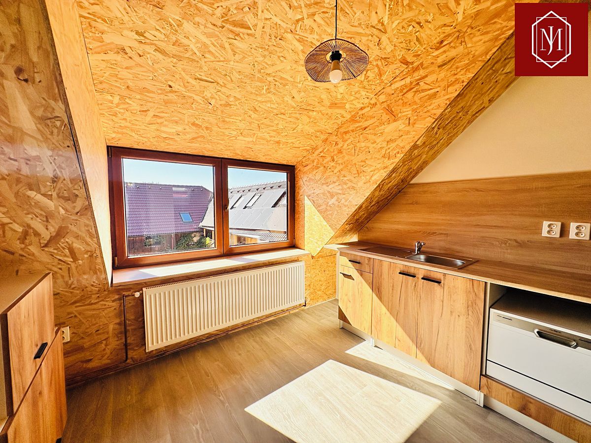 Pronájem bytu 1+kk 60 m² – fotografie 3