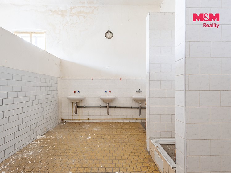 Pronájem komerčního prostoru, 800 m² (8 z 14)