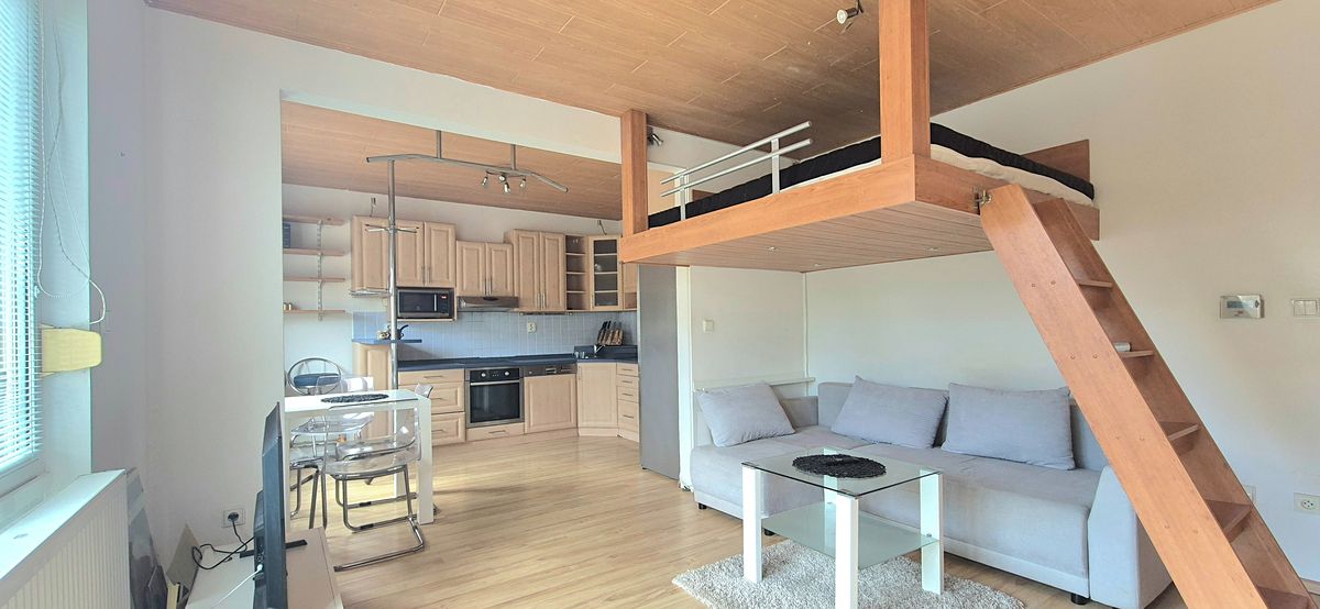 Pronájem bytu 1+kk 40 m²