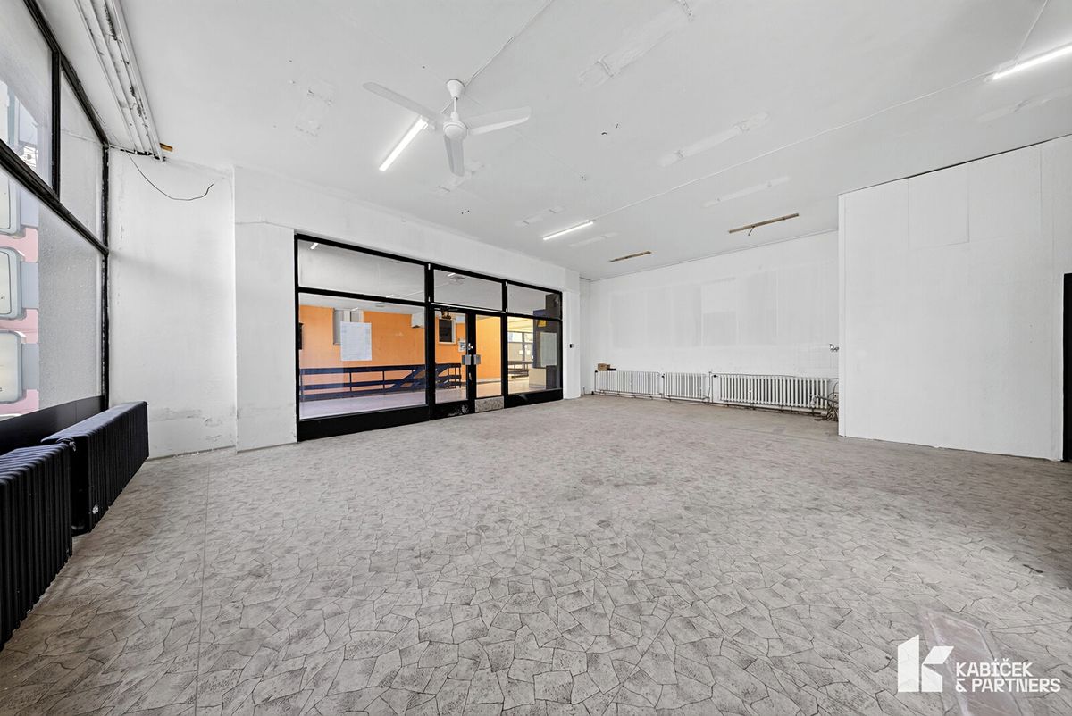 Prodej obchodního prostoru 411 m² – fotografie 5