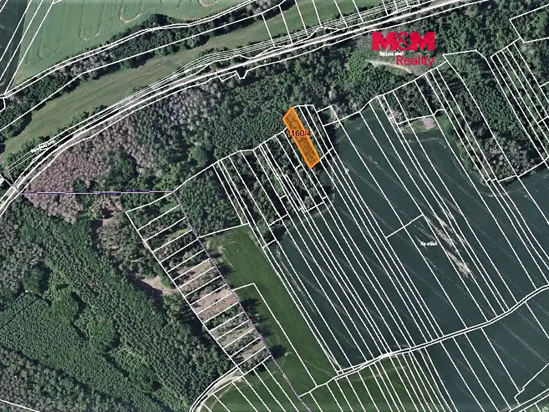 Prodej lesa 1133 m², Trhový Štěpánov – náhled fotky 1