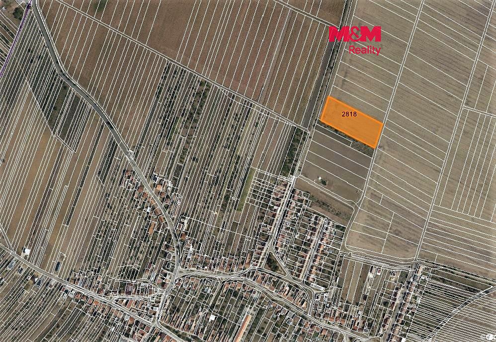 Prodej pole 5315 m², Šakvice – fotka 1 z 3