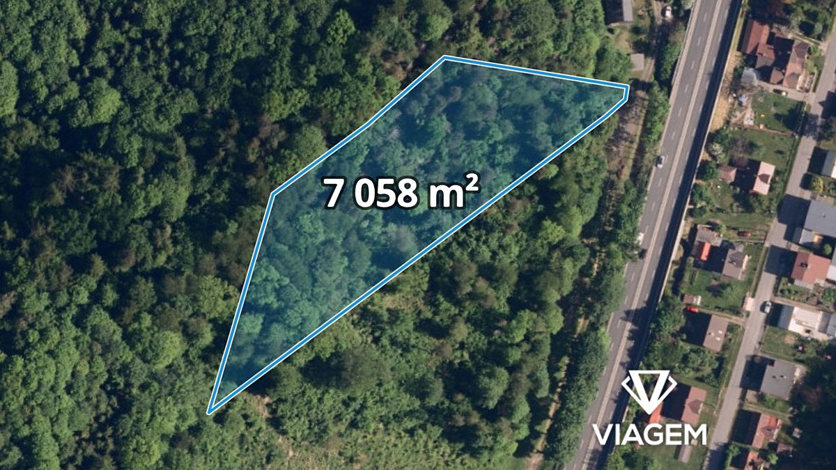 Prodej lesa 15009 m²