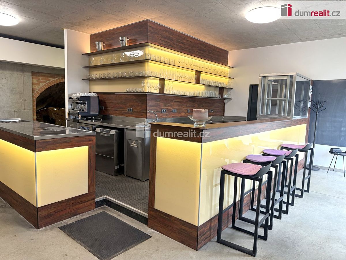 Prodej komerční nemovitosti 264 m² – fotografie 3