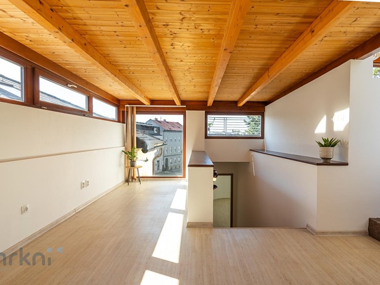 Prodej bytu atypical, 280 m² (16 z 46)