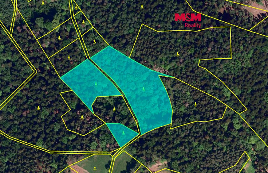Prodej lesa 26129 m²