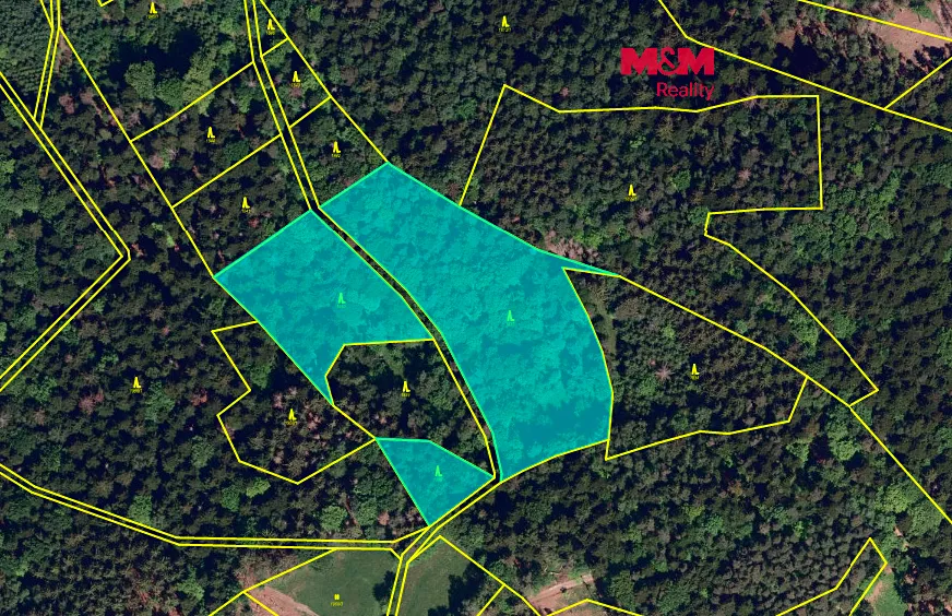 Prodej lesa 26129 m²