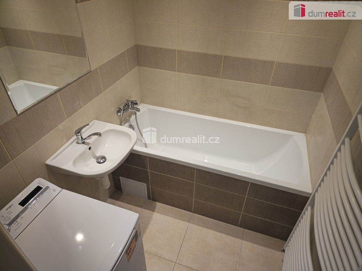 Pronájem bytu 1+1 40 m² – fotografie 3