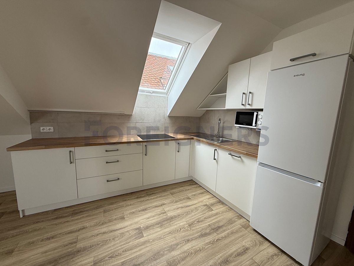 Pronájem bytu 2+1 100 m²