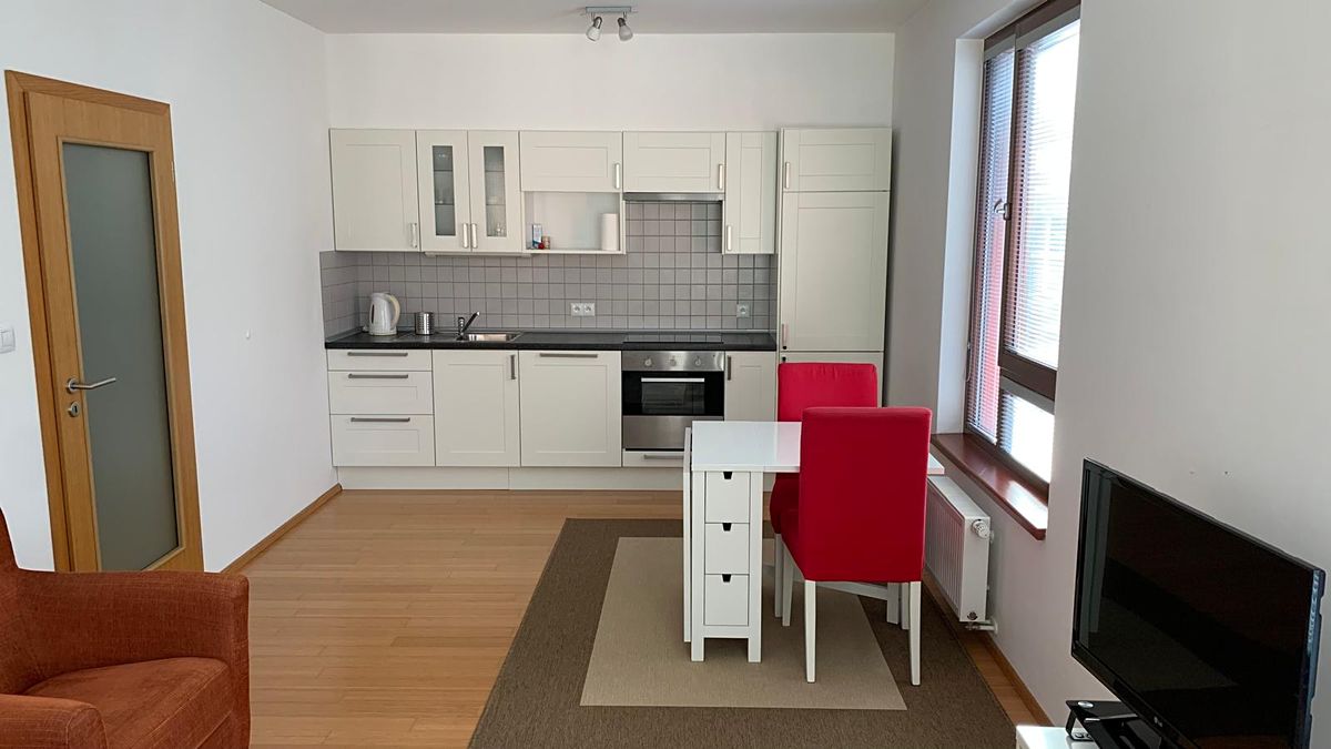 Pronájem bytu 1+kk 40 m² – fotografie 3