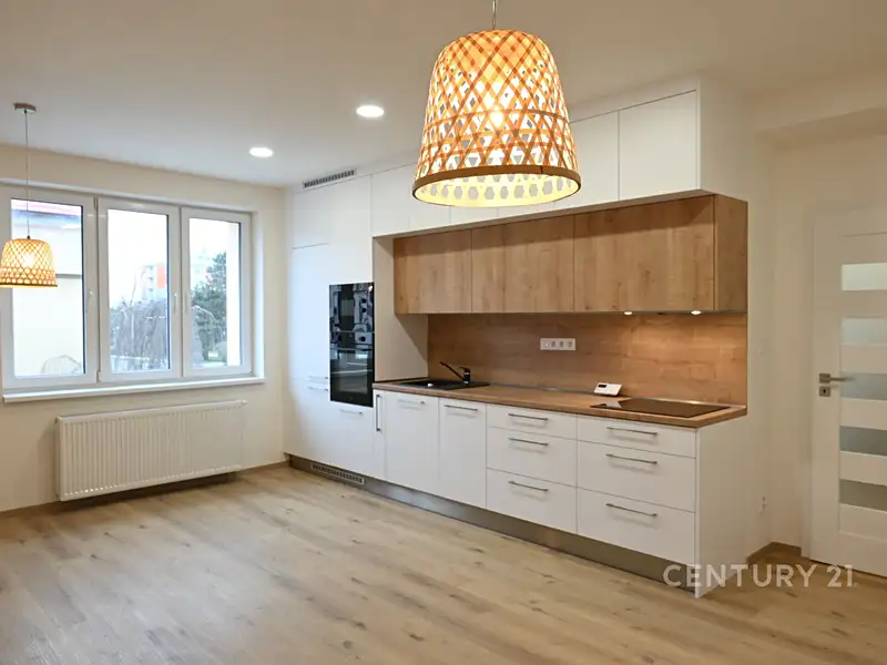 Pronájem bytu 2+kk 56 m², Plzeň – náhled fotky 1