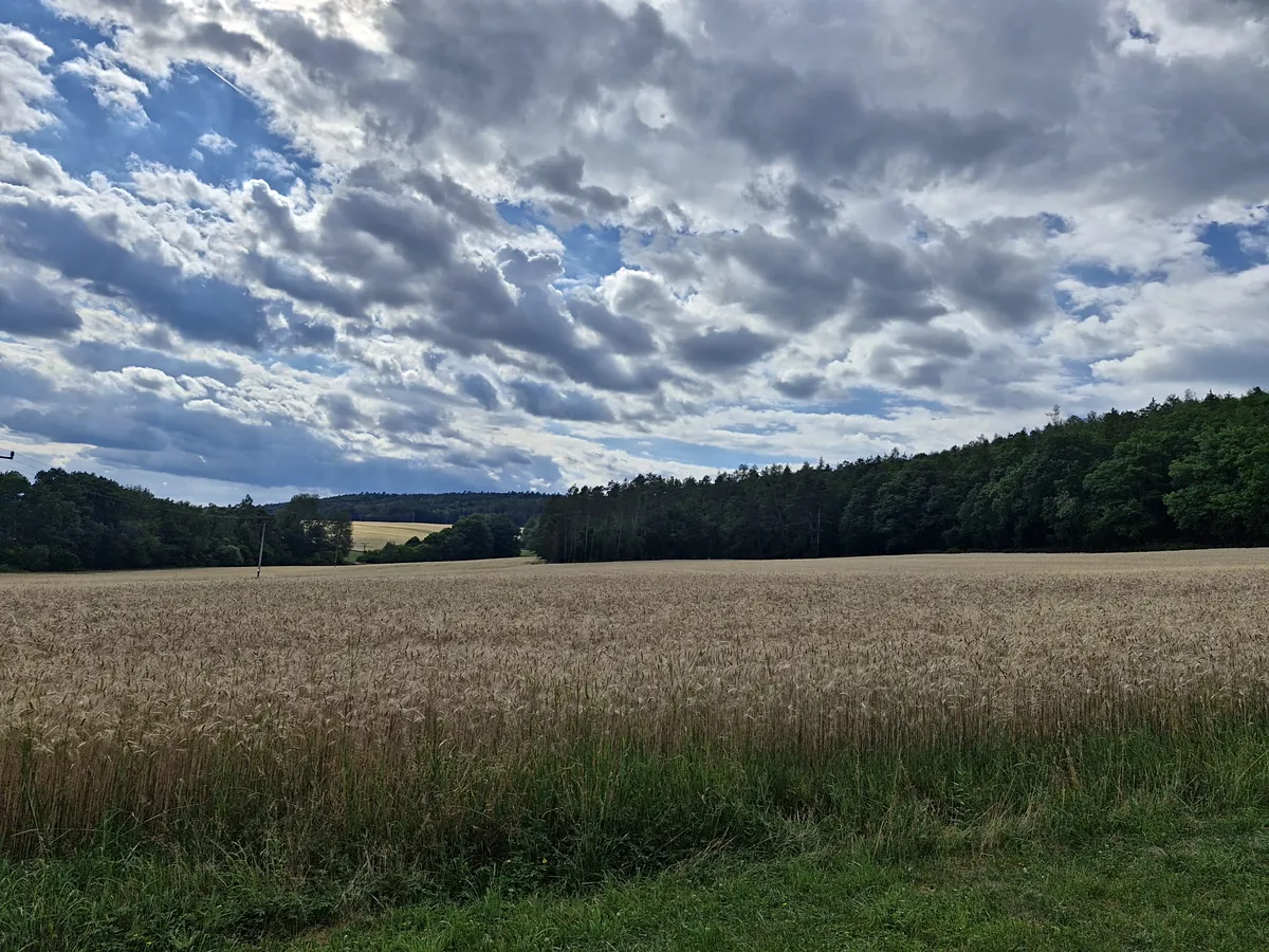 Fotka 17 z 17