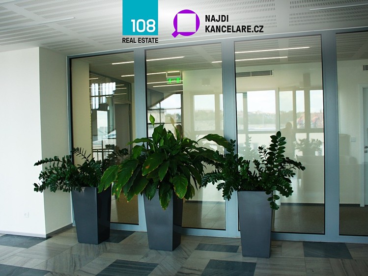Pronájem komerčního prostoru, 3 984 m² (6 z 8)
