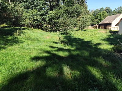Grundstück zum Kauf, 1.256 m² (3 von 4)