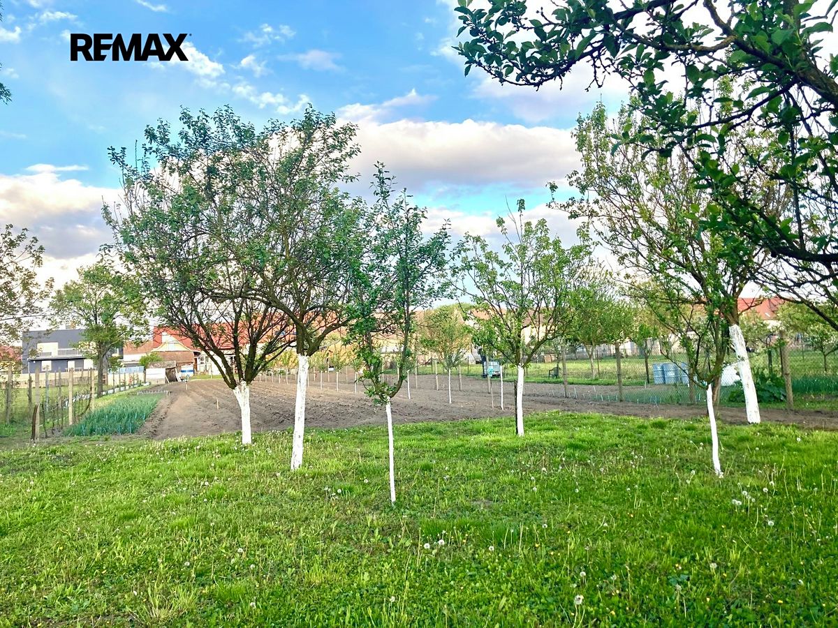 Prodej rodinného domu 215 m², pozemek 2186 m² – fotografie 2
