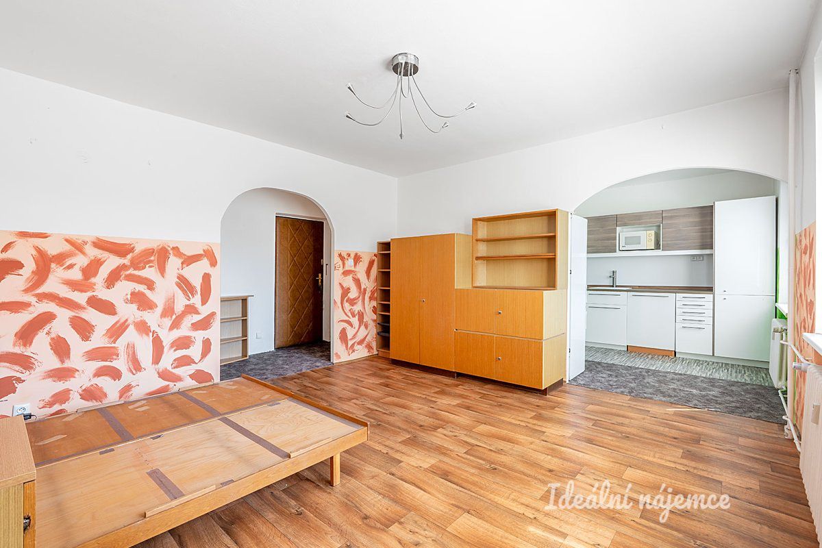 Pronájem bytu 1+1 47 m²