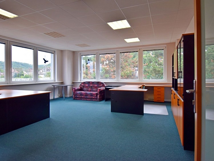 Gewerbefläche zur Miete, 65 m² (2 von 17)