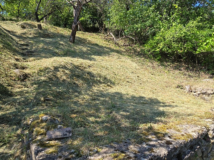 Ostatní