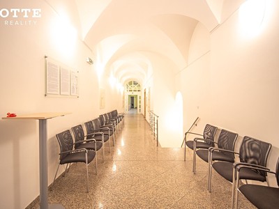 Gewerbefläche zur Miete, 247 m² (3 von 28)