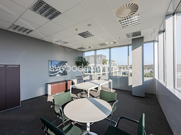 Pronájem komerčního prostoru, 898 m² (7 z 14)