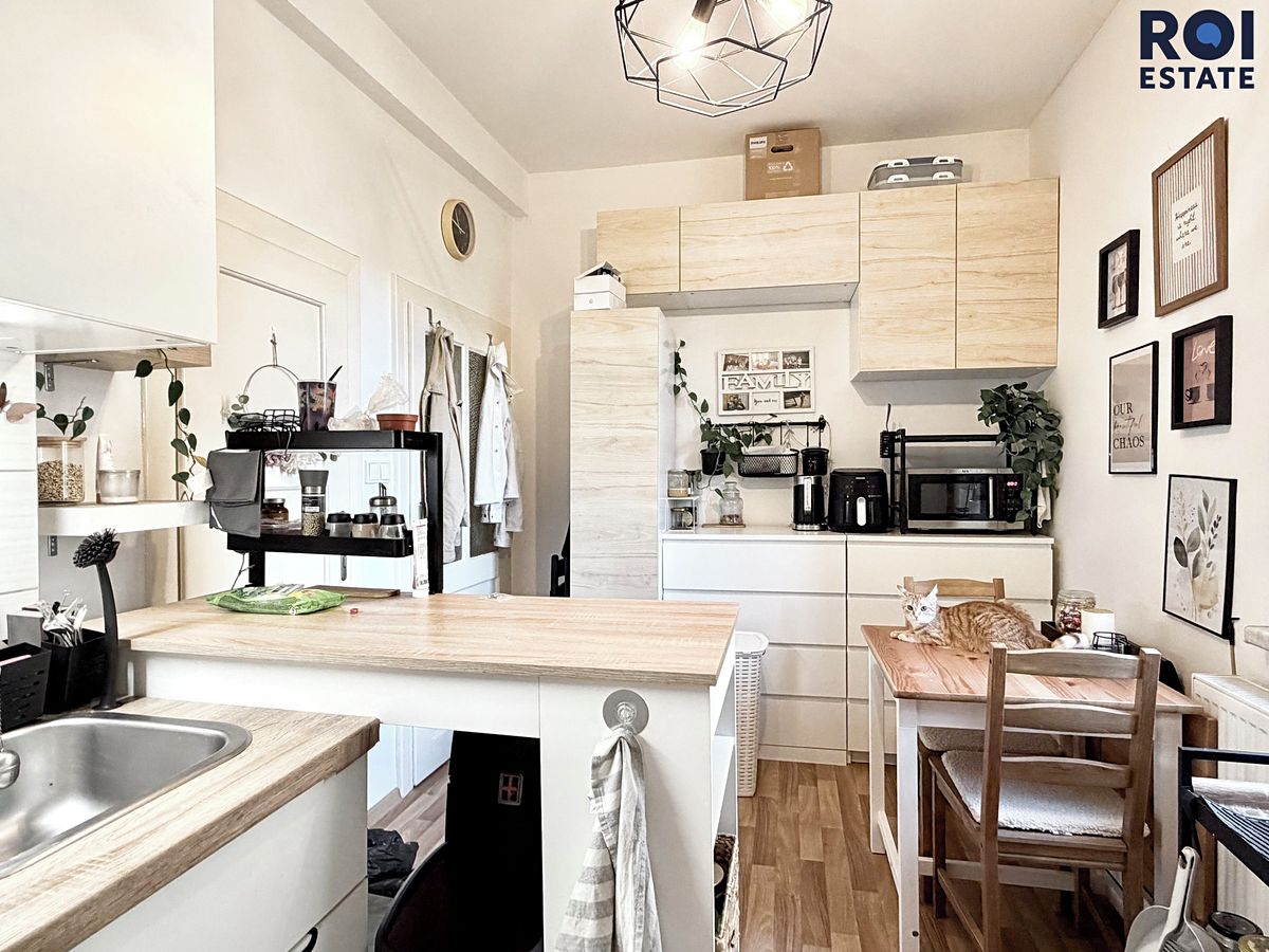 Pronájem bytu 1+1 39 m²
