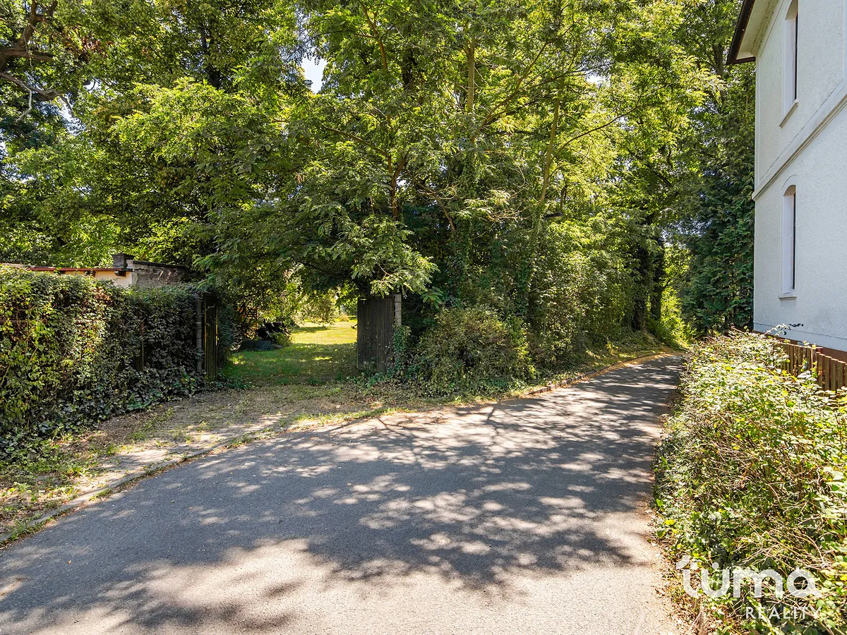 Fotka 20 z 21
