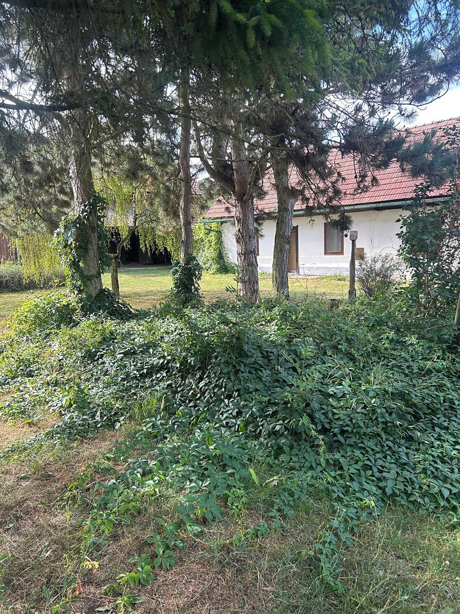 Prodej chalupy 100 m², pozemek 1885 m² – fotografie 4