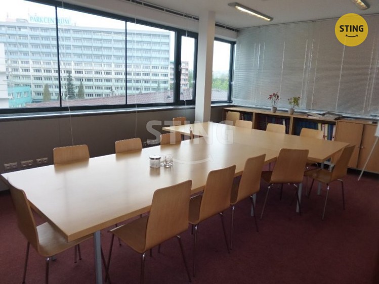 Pronájem komerčního prostoru, 252 m² (11 z 14)